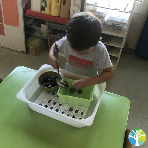 Activités autonomes type Montessori chez les PS